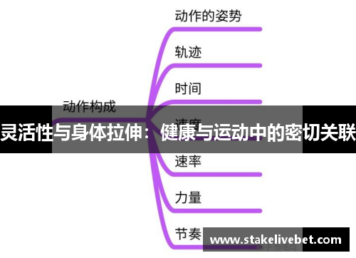 灵活性与身体拉伸：健康与运动中的密切关联